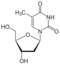 Deoxythymidin