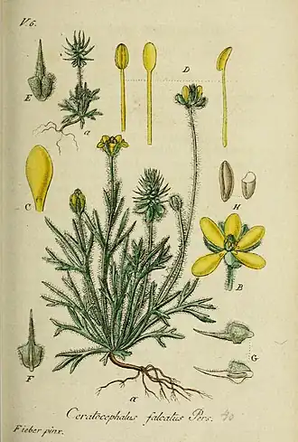 alternativní popis obrázku chybí