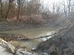 Devínske rameno a Slovanský ostrov