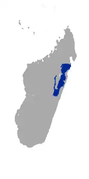 Areál rozšíření