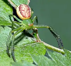 alternativní popis obrázku chybí