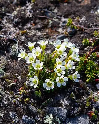 alternativní popis obrázku chybí