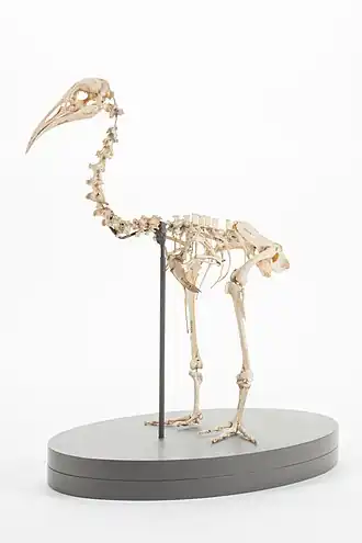 alternativní popis obrázku chybí