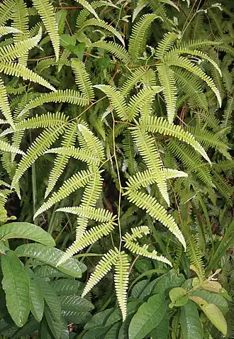 alternativní popis obrázku chybí