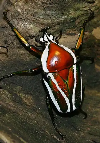 alternativní popis obrázku chybí