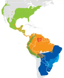 *      Didelphis albiventris *      Didelphis aurita *      Didelphis imperfecta *      Didelphis marsupialis *      Didelphis pernigra *      Didelphis virginiana