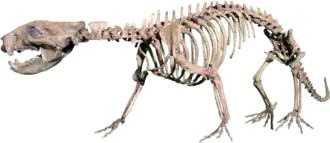 alternativní popis obrázku chybí