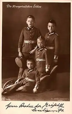 Korunní princové v uniformách, 1914