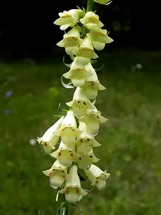 alternativní popis obrázku chybí