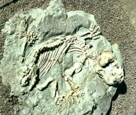 popis obrázku chybí