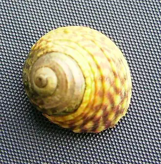 alternativní popis obrázku chybí