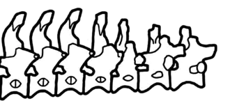 popis obrázku chybí