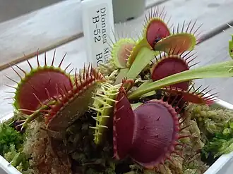 alternativní popis obrázku chybí