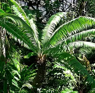 alternativní popis obrázku chybí