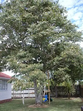 alternativní popis obrázku chybí