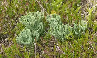 alternativní popis obrázku chybí