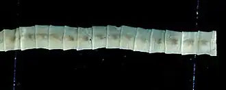 alternativní popis obrázku chybí