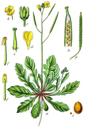 alternativní popis obrázku chybí