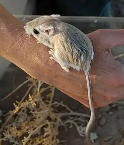 alternativní popis obrázku chybí