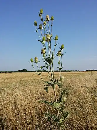 alternativní popis obrázku chybí