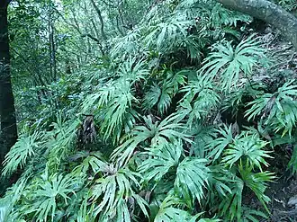 alternativní popis obrázku chybí