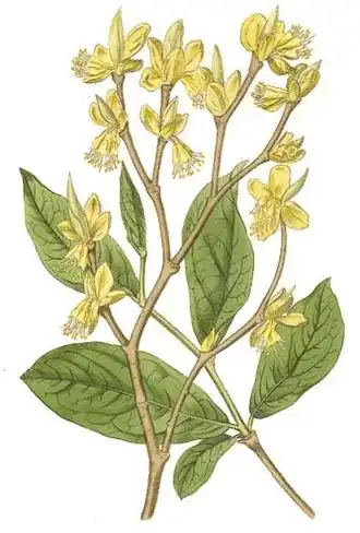 alternativní popis obrázku chybí