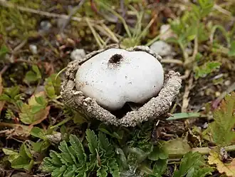 alternativní popis obrázku chybí