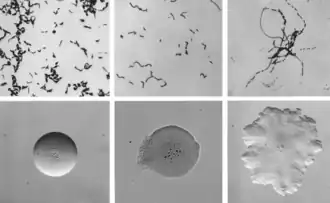 alternativní popis obrázku chybí