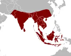 Areál rozšíření