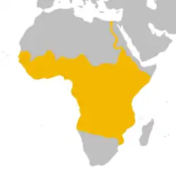 Areál rozšíření