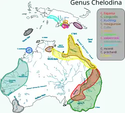 Rozšíření dlouhokrčky australské (tmavě zeleně)