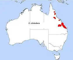 Areál rozšíření