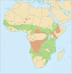 Areál rozšíření