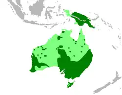 Areál rozšíření