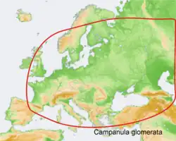 Areál rozšíření