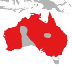 Červeně vyznačený areál rozšíření květozoba vlaštovčího