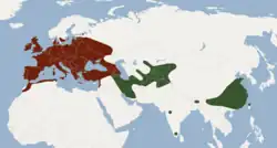 Areál rozšíření