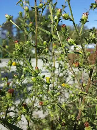 alternativní popis obrázku chybí