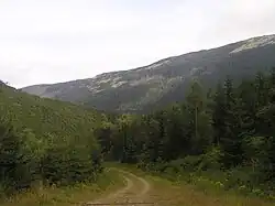 Dlouhý důl, v pozadí Kozí hřbety