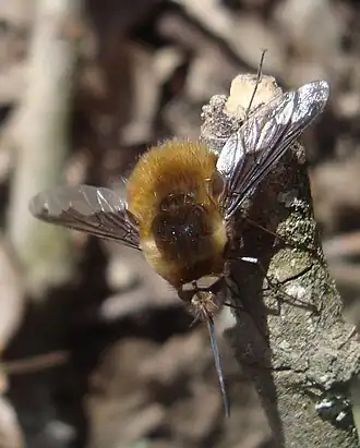 alternativní popis obrázku chybí