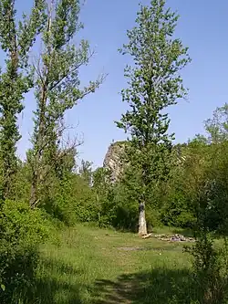 Pohled do nitra lomu Vokounka z jeho dna