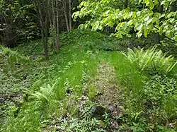 jádro někdejšího hradu