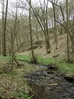 Všenorský potok poblíž Černolic