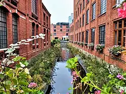 Řeka Dobrzynka v Pabianicích