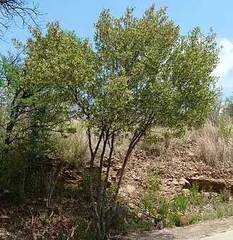 alternativní popis obrázku chybí