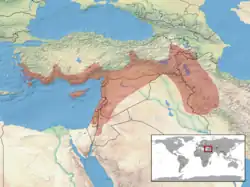 Areál rozšíření