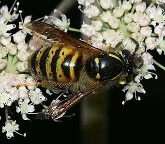 alternativní popis obrázku chybí