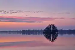 Přírodní rezervace Stawy Milickie v CHKO Dolina Baryczy