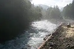 Javorinka (přítok Bielé vody)