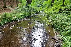 Potok pod Hartenbergem